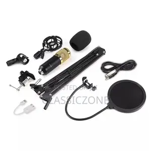 High Quality Condenser Microphone