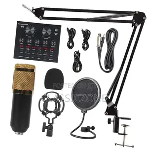 High Quality Condenser Microphone