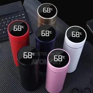 Smart Led Temperature Display Bottle