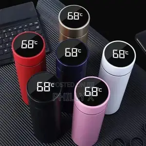 Smart Led Temperature Display Bottle