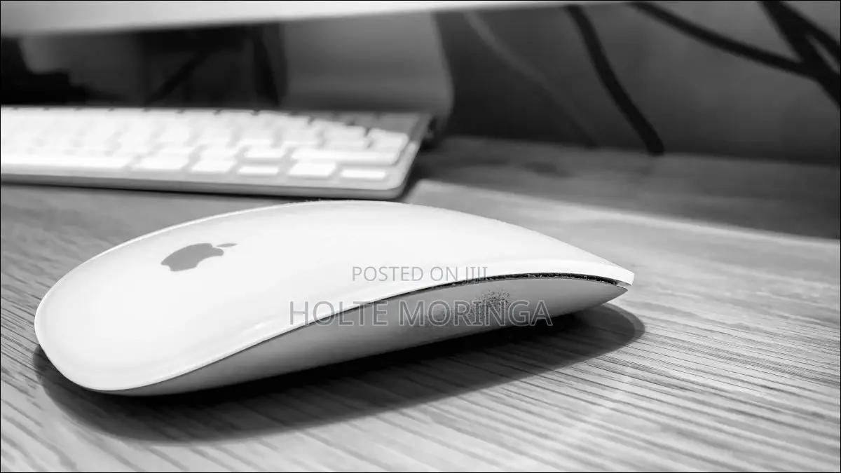 Apple Magic Mice 2