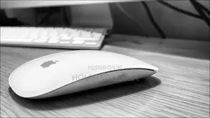 Apple Magic Mice 2