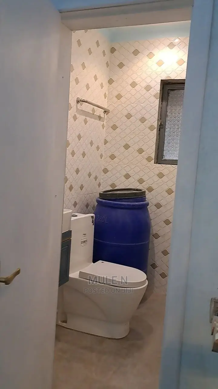 Furnished 2bdrm Condo in ቡልጋሪያ ኮንደሚኒየም, Lideta for sale