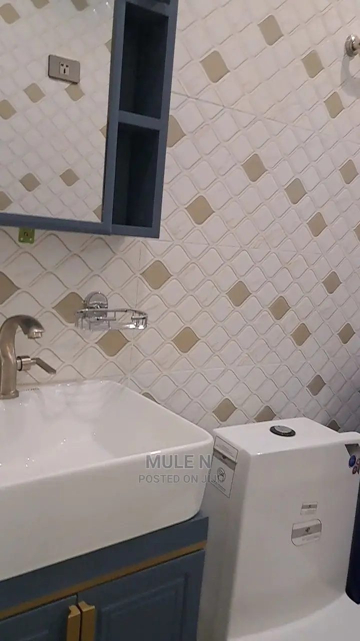 Furnished 2bdrm Condo in ቡልጋሪያ ኮንደሚኒየም, Lideta for sale