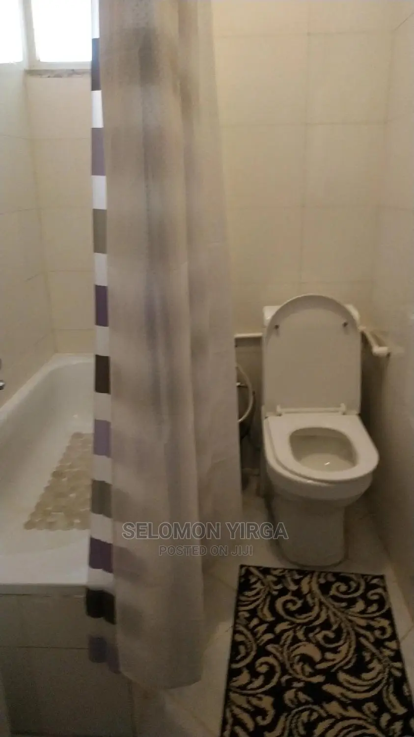 Furnished 3bdrm Apartment in አድስ አበባ, Kirkos for Rent