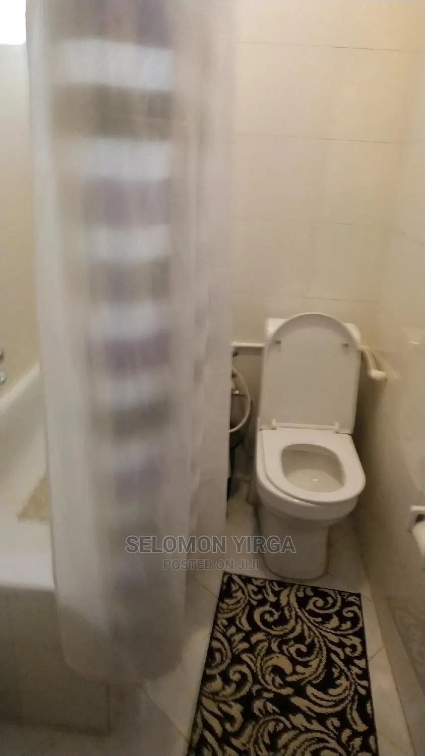 Furnished 3bdrm Apartment in አድስ አበባ, Kirkos for Rent