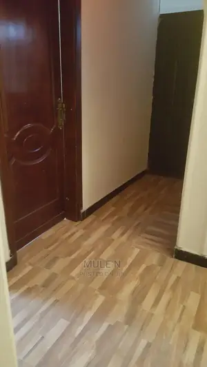 Furnished 2bdrm Condo in ኣባዶ ኮንደሚኒየም, Yeka for Sale