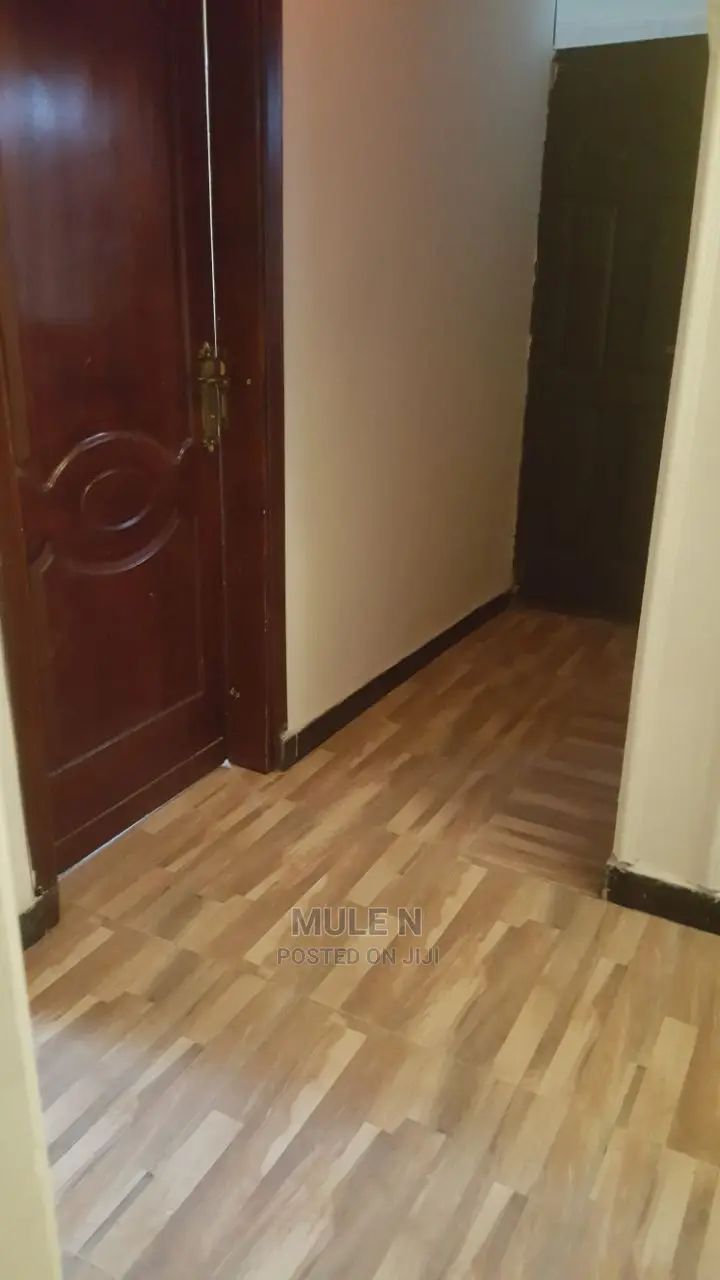 Furnished 2bdrm Condo in ኣባዶ ኮንደሚኒየም, Yeka for Sale