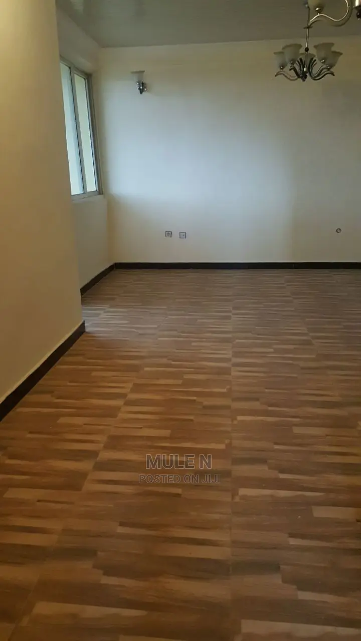 Furnished 2bdrm Condo in ኣባዶ ኮንደሚኒየም, Yeka for Sale