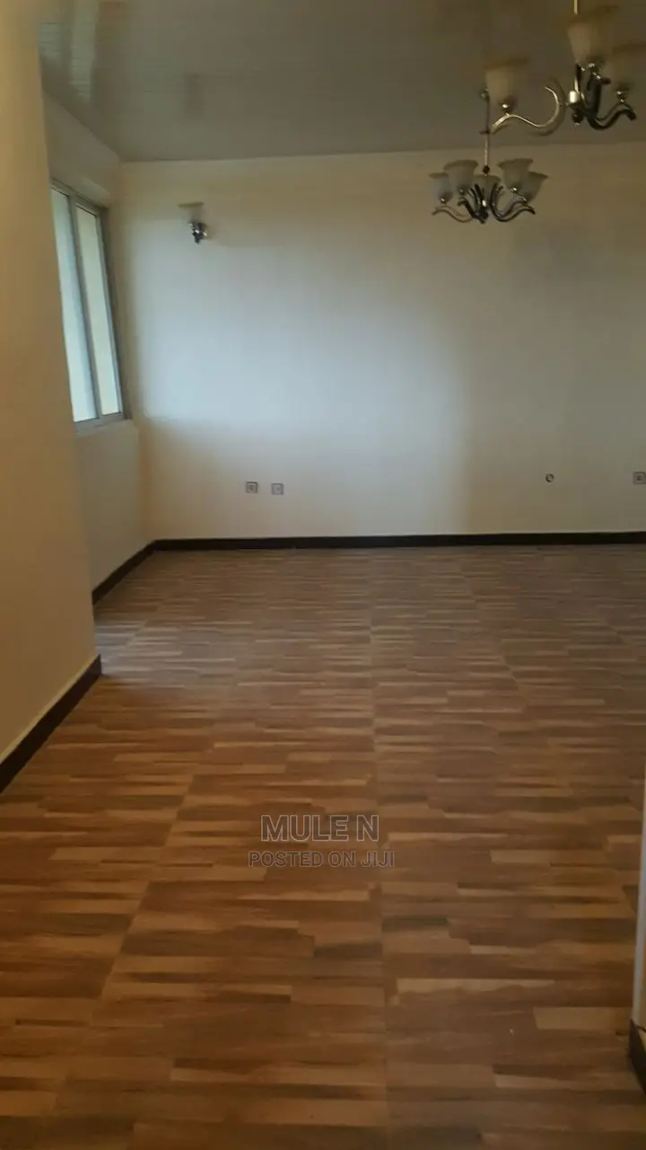 Furnished 2bdrm Condo in ኣባዶ ኮንደሚኒየም, Yeka for Sale