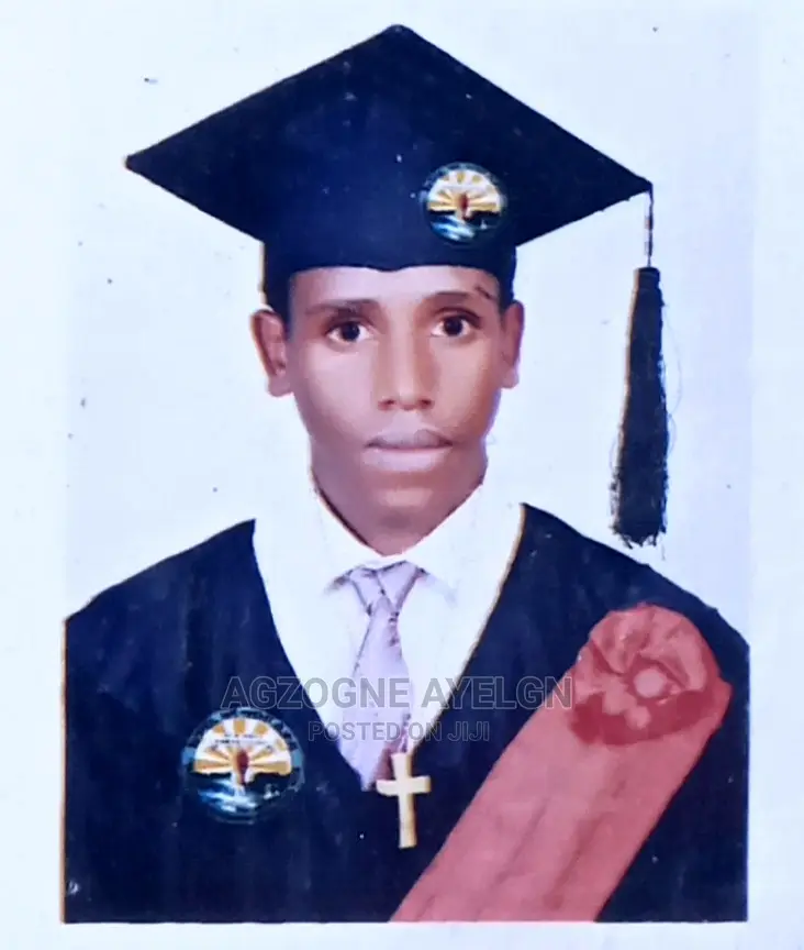 Ellectrician Electrical Engineering