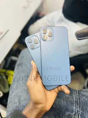 Apple iPhone 12 Pro Max 256 GB Blue