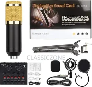 Photo - Audio Condenser Microphone