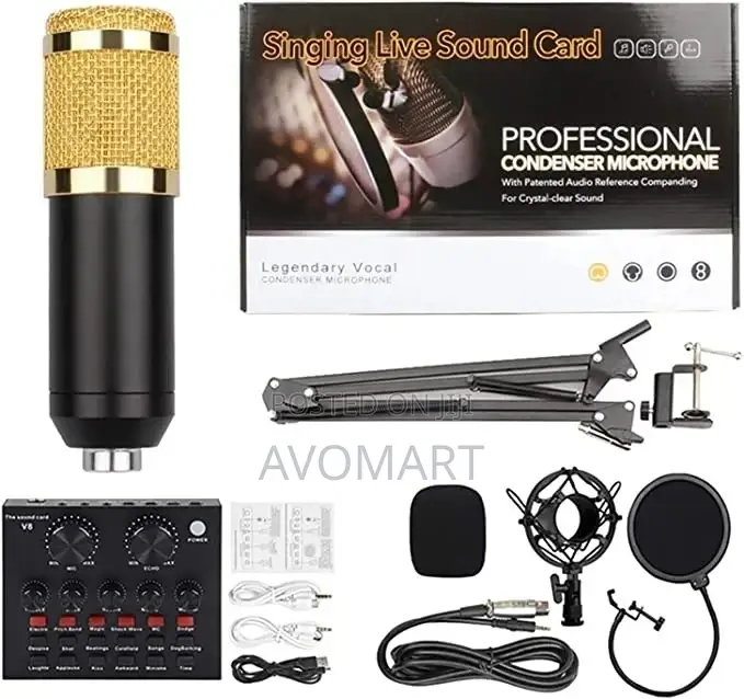 Audio Condenser Microphone