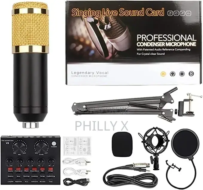 Audio Condenser Microphone
