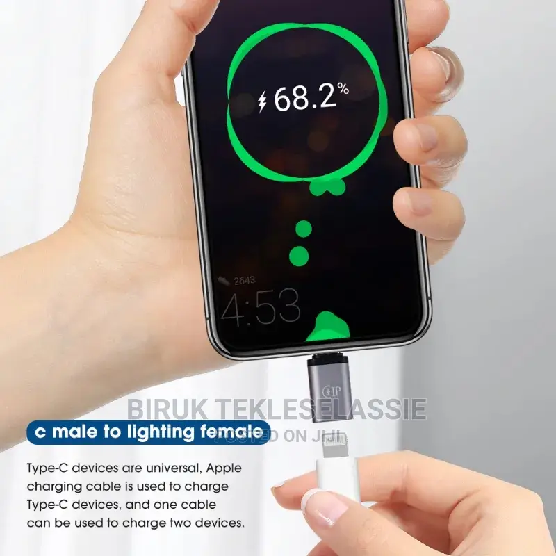 Lightning to Type C Converter Otg