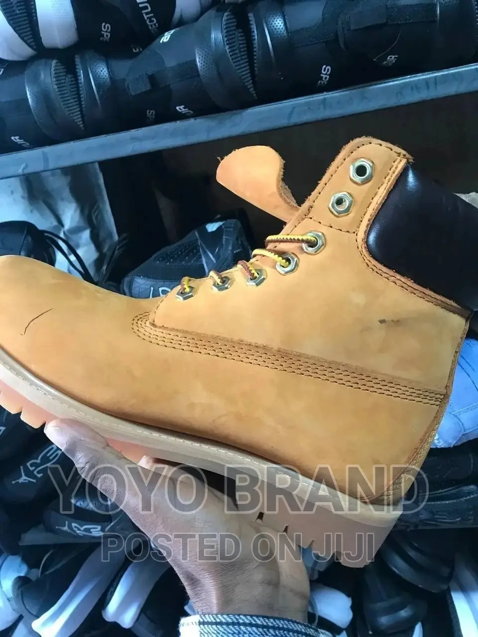 Original Timber Land