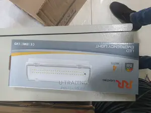 Photo - Double Emergency Light