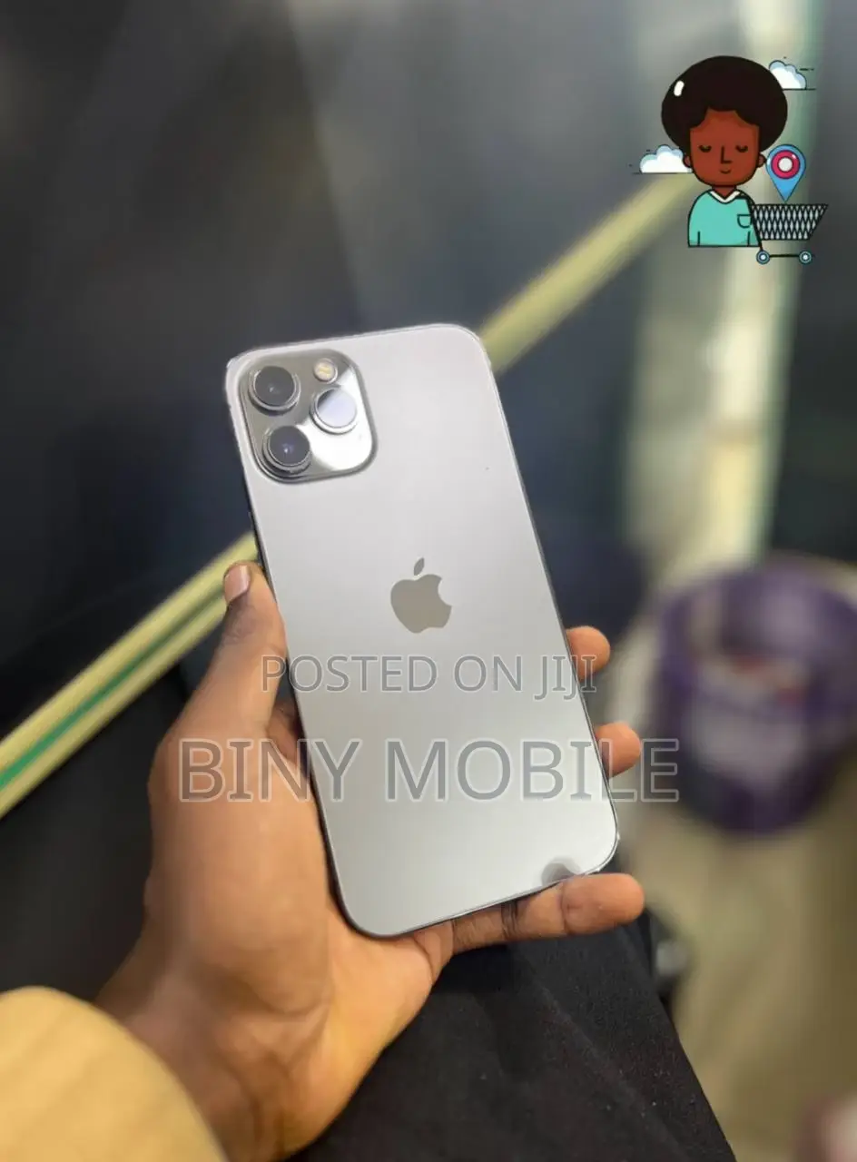 Apple iPhone 12 Pro Max 128 GB Gray