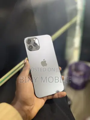 Apple iPhone 12 Pro Max 128 GB Gray