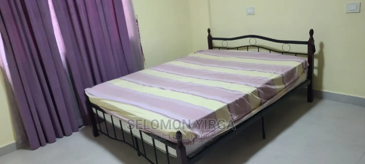 Furnished 4bdrm Apartment in Adids Abba, Bole for Rent