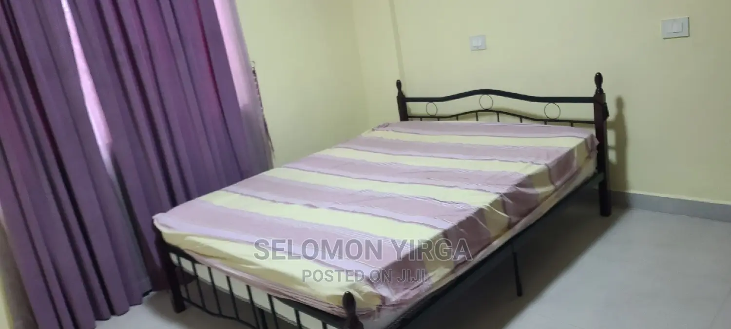 Furnished 4bdrm Apartment in Adids Abba, Bole for Rent