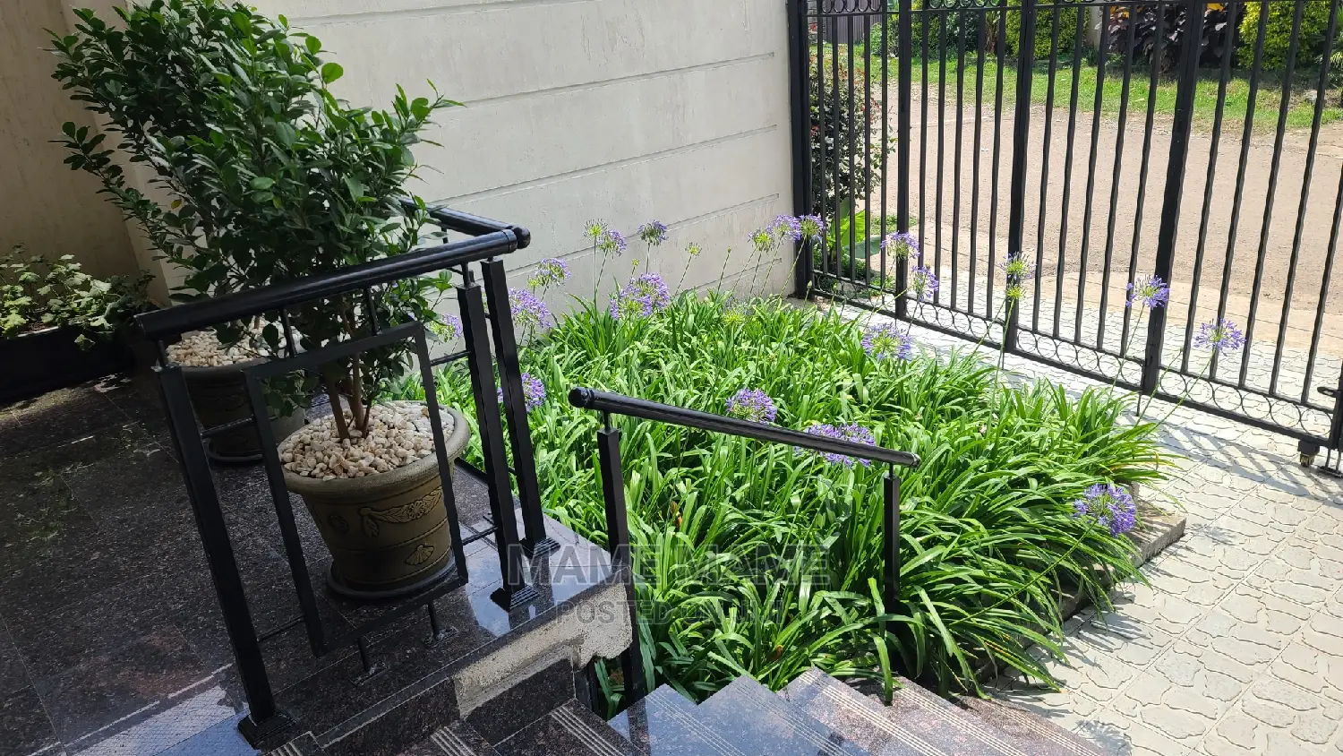 Furnished 1bdrm Apartment in Addis Abeba, Bole for rent