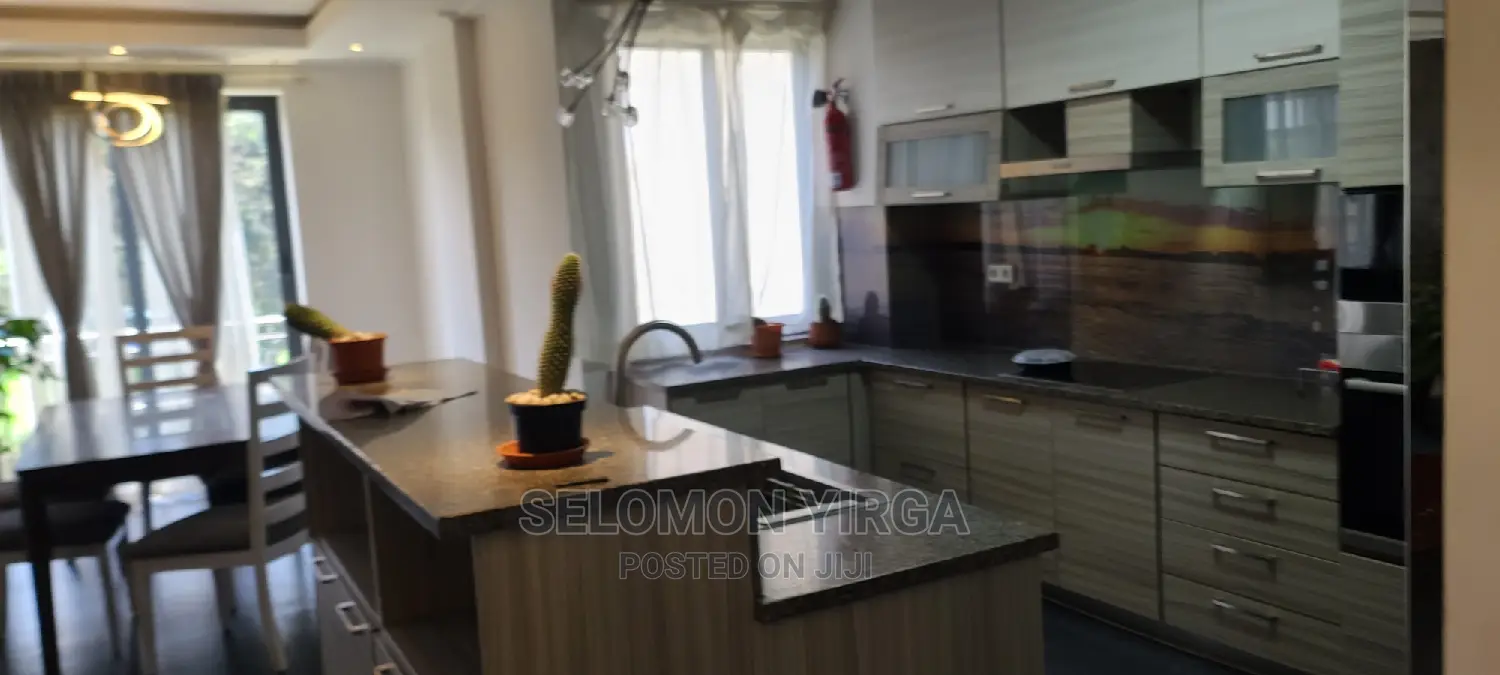 Furnished 4bdrm Apartment in Adids Abba, Bole for Rent