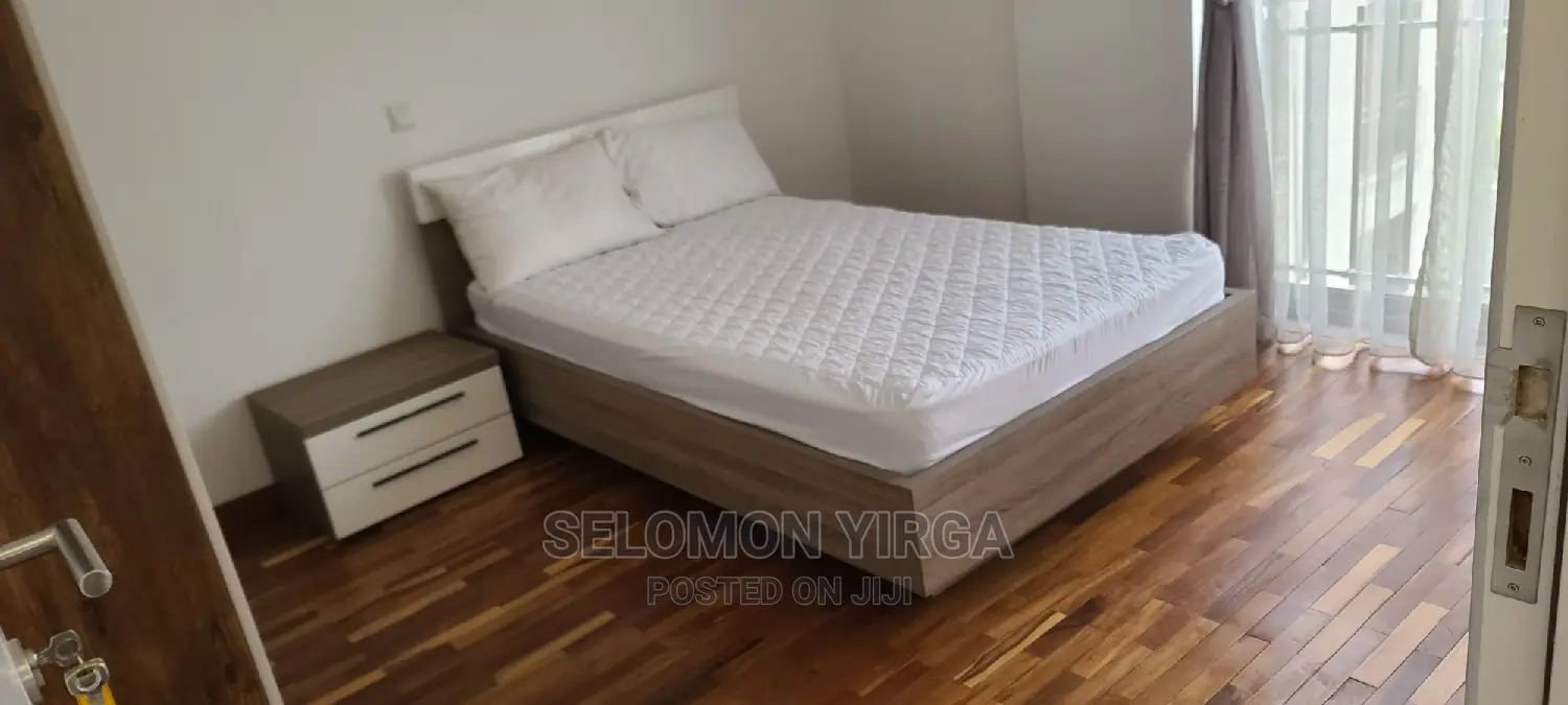 Furnished 4bdrm Apartment in Adids Abba, Bole for Rent