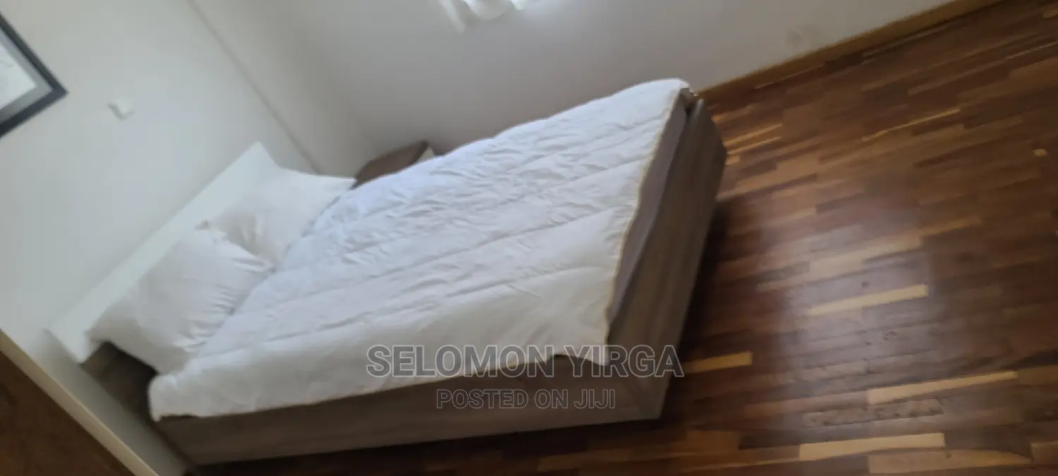 Furnished 4bdrm Apartment in Adids Abba, Bole for Rent