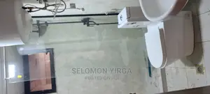 4bdrm Apartment in Adids Abba, Bole for Rent