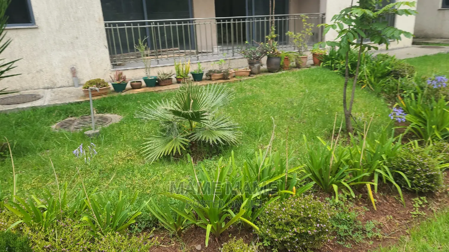 Furnished 4bdrm Apartment in Addis Abeba, Bole for Rent