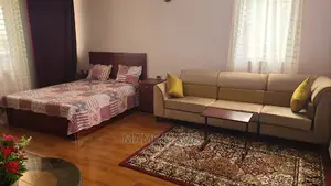 Furnished 1bdrm Apartment in Addis Abeba, Bole for Rent