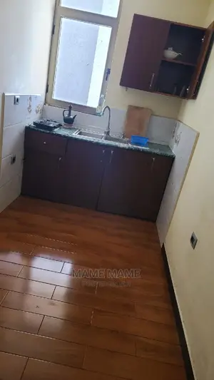 Furnished 1bdrm Apartment in Addis Abeba, Bole for Rent