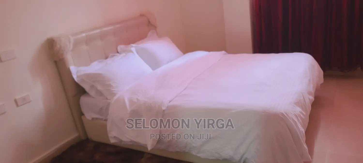 Furnished 3bdrm Apartment in Adids Abba, Bole for Rent