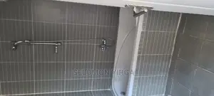 1bdrm Apartment in Adids Abba, Bole for Rent