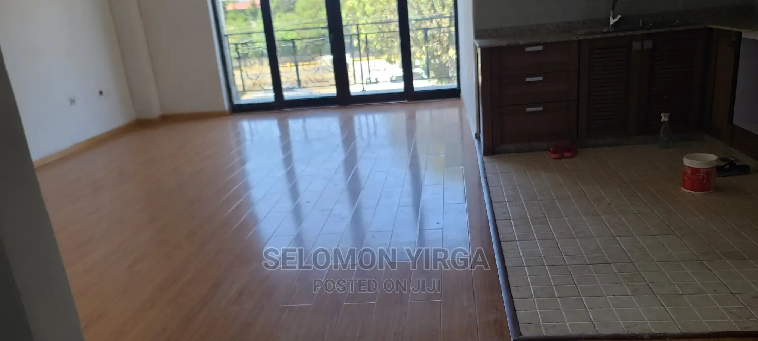 2bdrm Apartment in Addis Abba, Bole for Rent