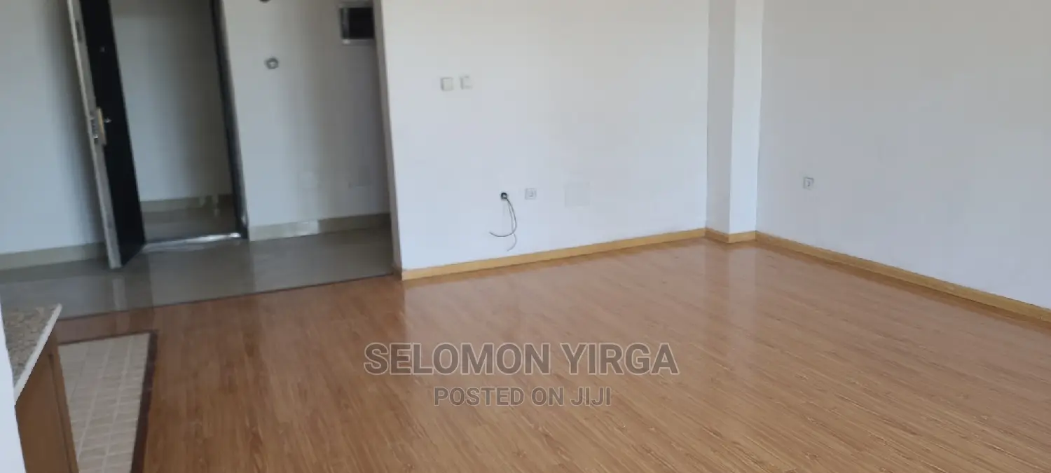 2bdrm Apartment in Addis Abba, Bole for Rent