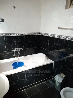 Furnished 4bdrm Apartment in Bole Bolbula for rent