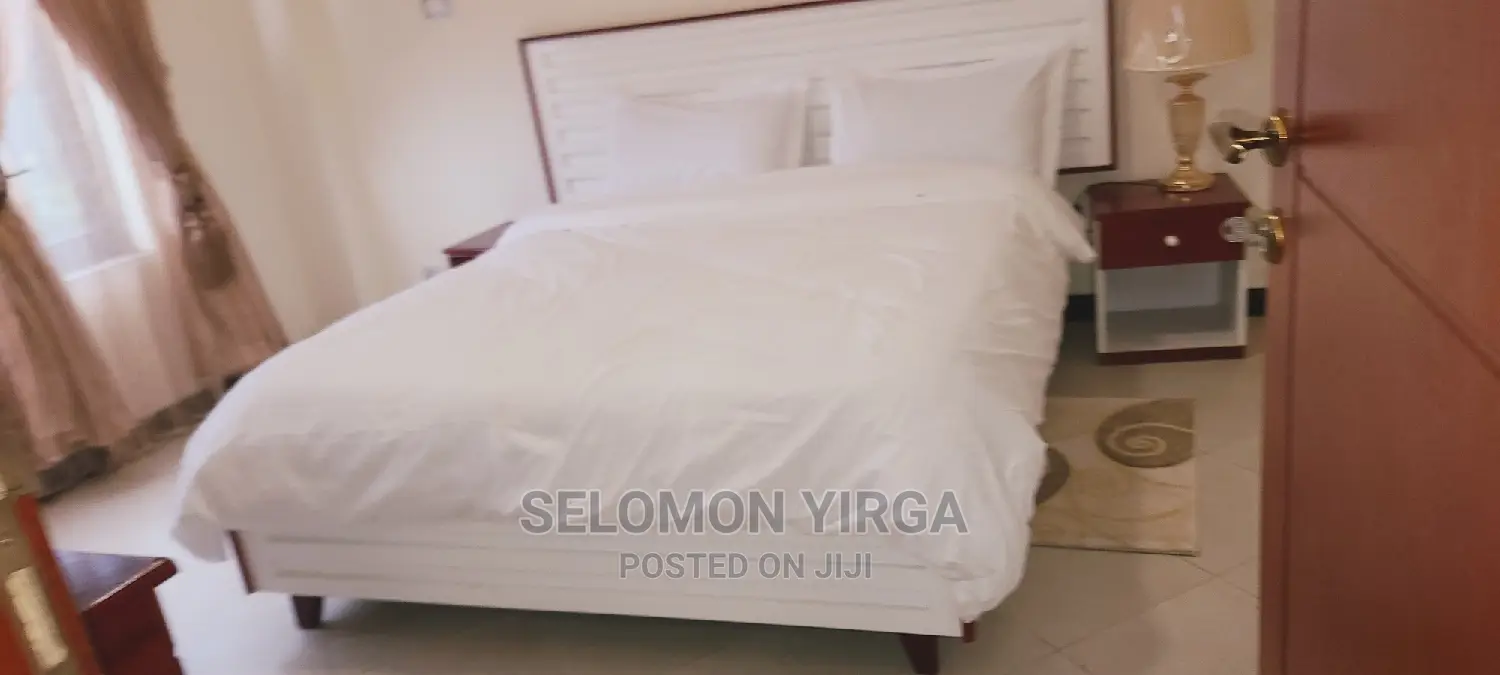 Furnished 8bdrm House in Adids Abba, Bole for Rent