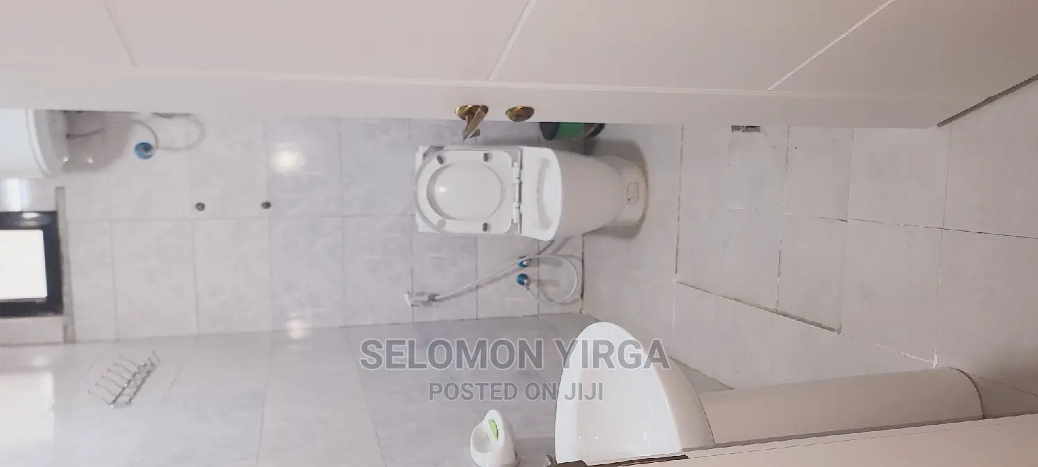 Furnished 8bdrm House in Adids Abba, Bole for Rent