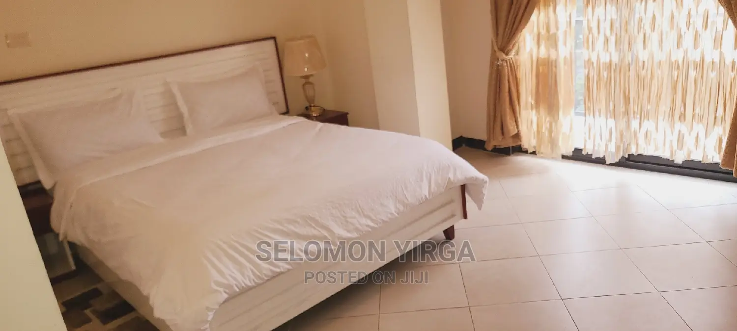 Furnished 8bdrm House in Adids Abba, Bole for Rent