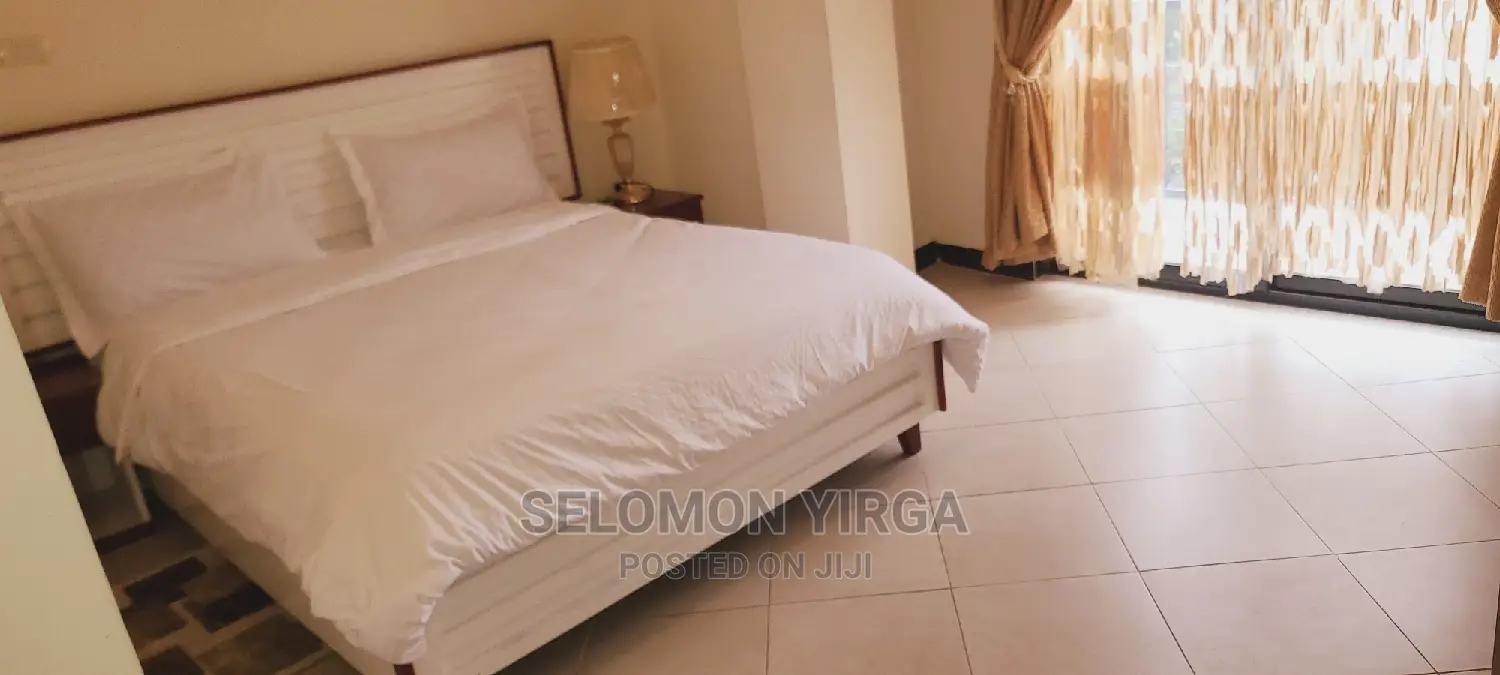Furnished 8bdrm House in Adids Abba, Bole for Rent