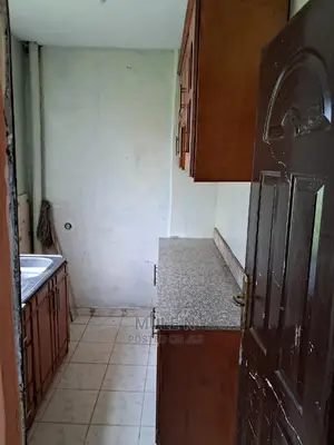 Furnished 1bdrm Condo in ኣባዶ ኮንደሚኒየም, Yeka for sale