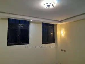 Furnished 4bdrm Apartment in አአ, Bole for sale