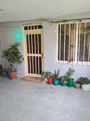 Photo - Furnished 1bdrm Condo in ኣባዶ ኮንደሚኒየም, Yeka for sale