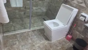 Furnished 1bdrm Apartment in Addis Abeba, Bole for rent