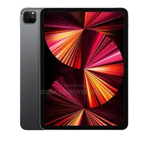 New Apple iPad Pro 512 GB Gray