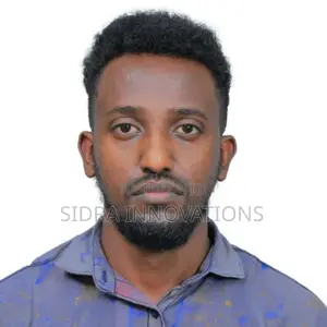 It Accounting Solutions Freelancer