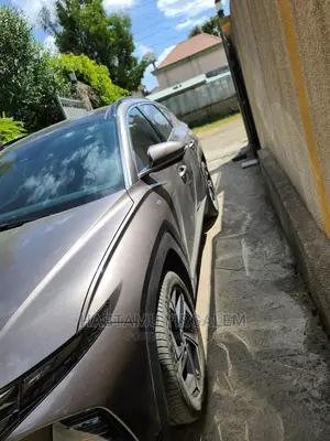 Hyundai Tucson 2023 Brown